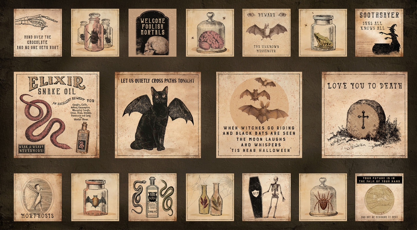 Gothic Halloween Digital by Dan DiPaolo 24" Panel Black    Y4438-3 Cotton Woven Panel