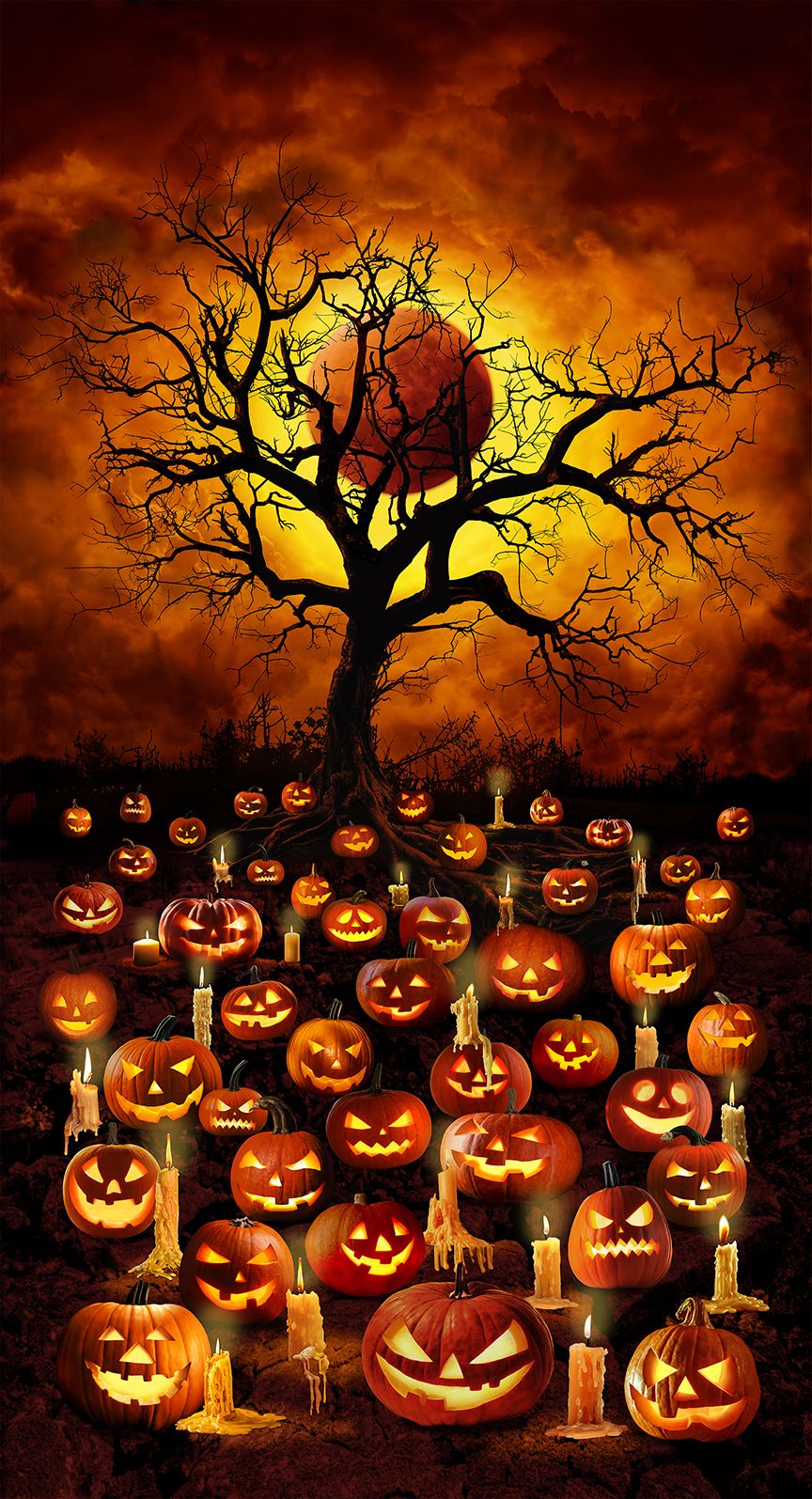 Wicked 24" Panel Jack O'Lantern Blood Moon PANEL-CD2914-ORANGE Cotton Woven Panel