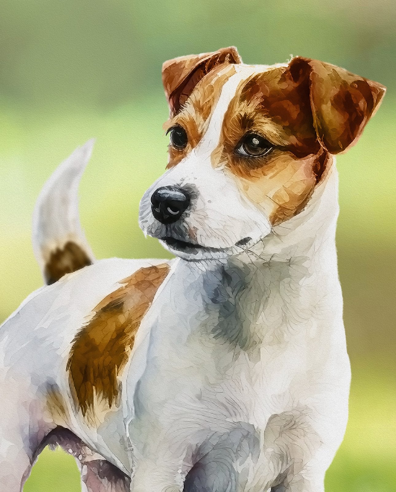 Doggies! 35.5" Panel Jack Russell Digitally Printed DX42583C1 Cotton Woven Panel