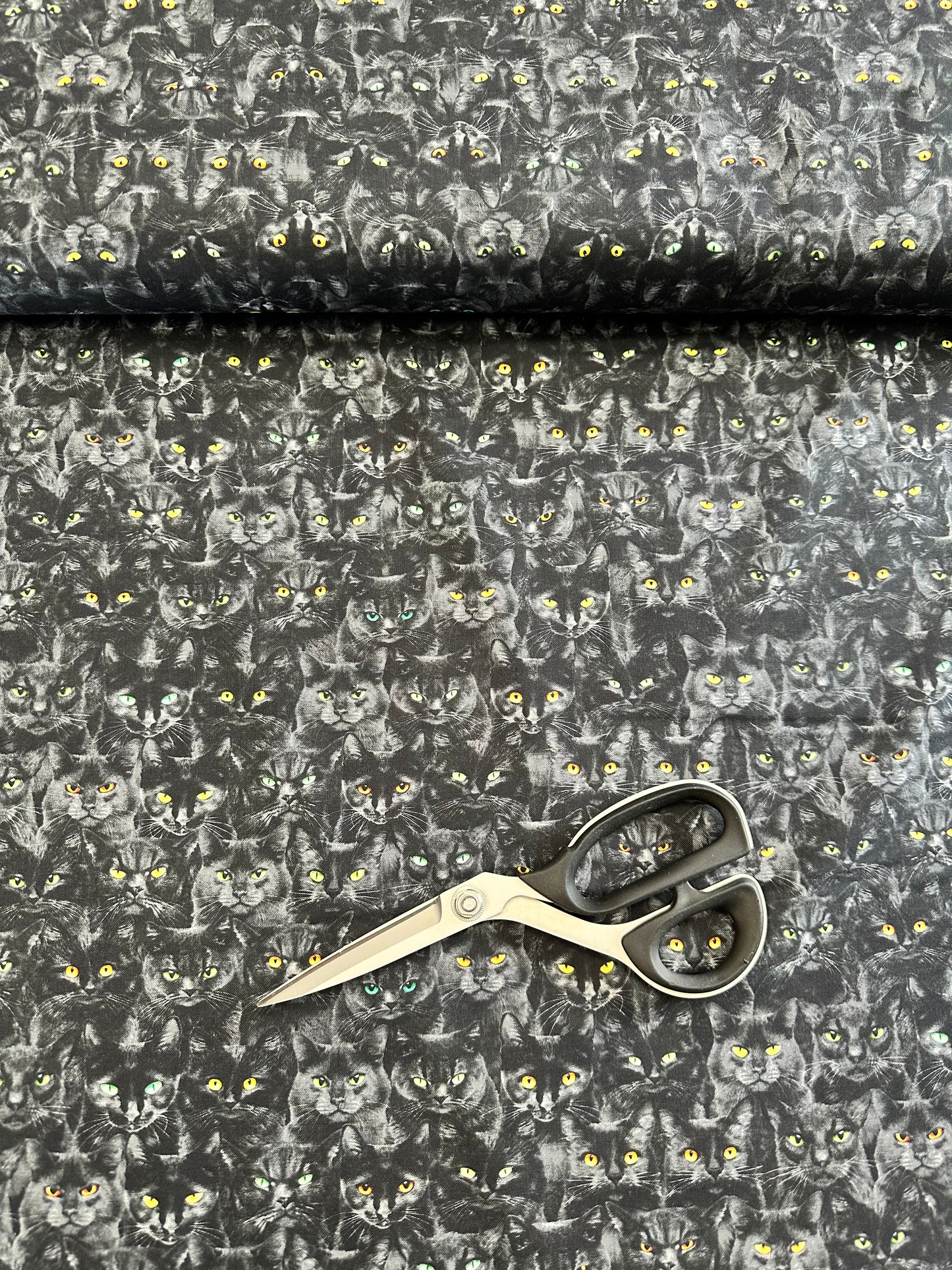 Wicked Black Cats Magic CD1831-BLACK Cotton Woven Fabric