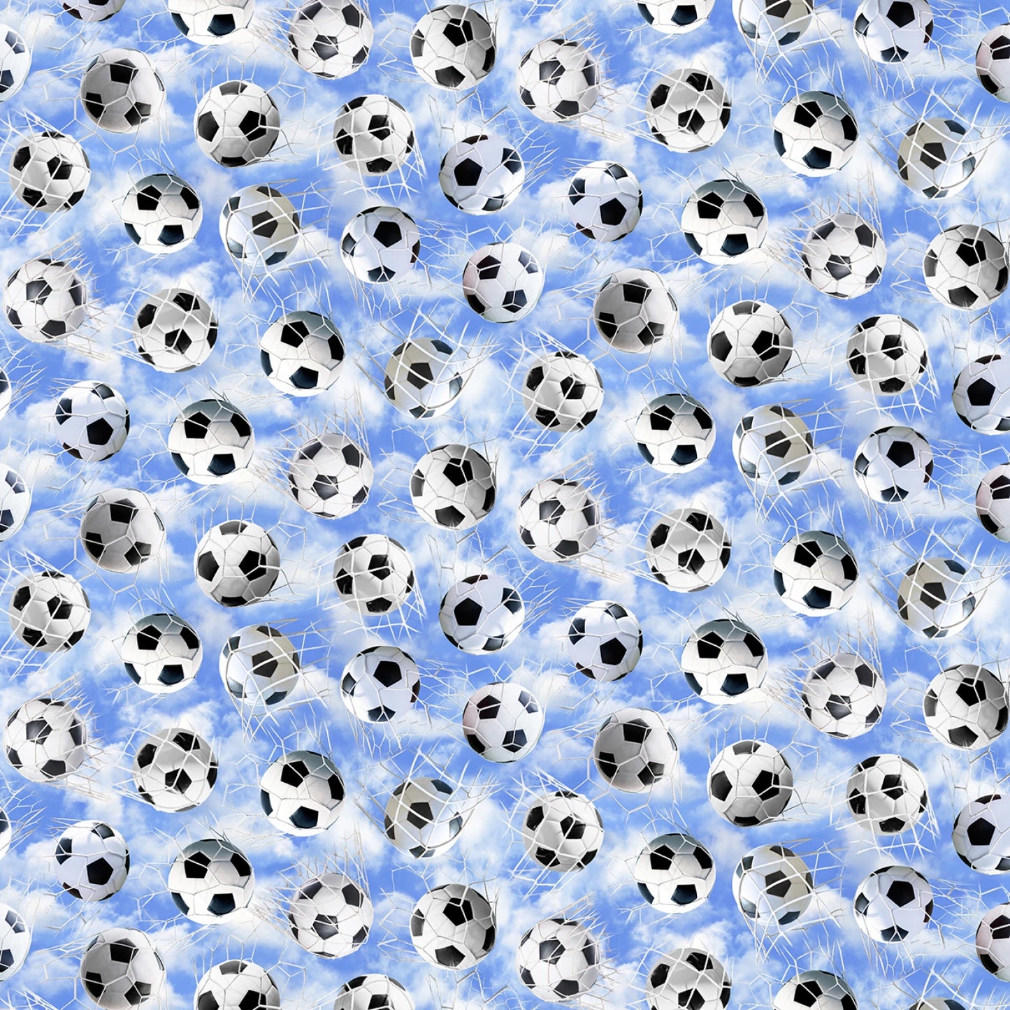 Soccer Balls in Nets Blue Sport-CD3836