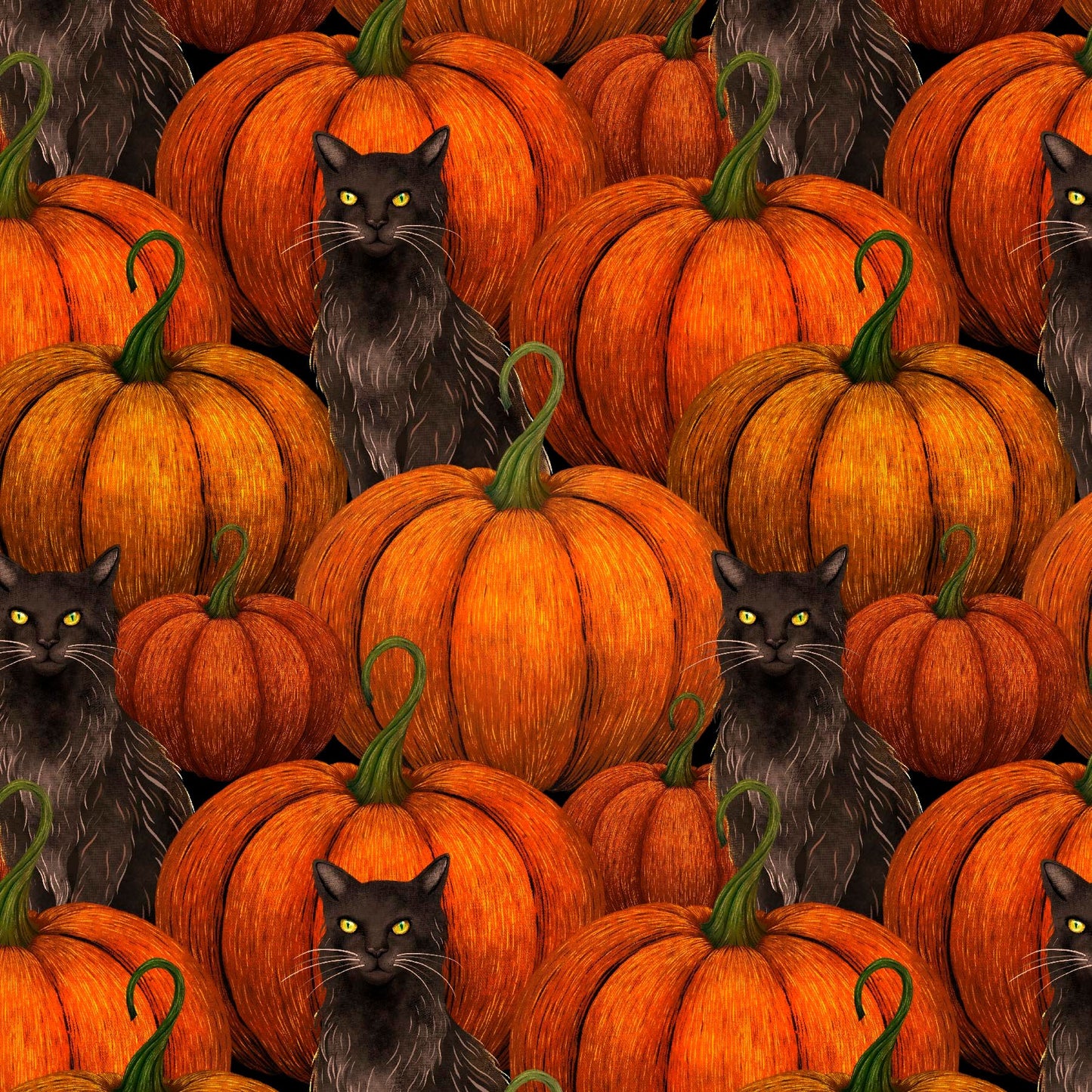 Harvest Haunt Pumpkins and Black Cats Orange 4813-33 by Episodic Drawing