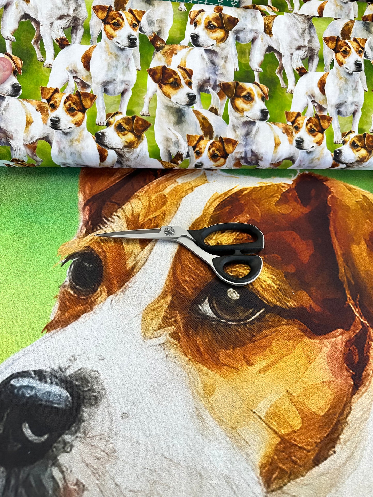 Doggies! 35.5" Panel Jack Russell Digitally Printed DX42583C1 Cotton Woven Panel