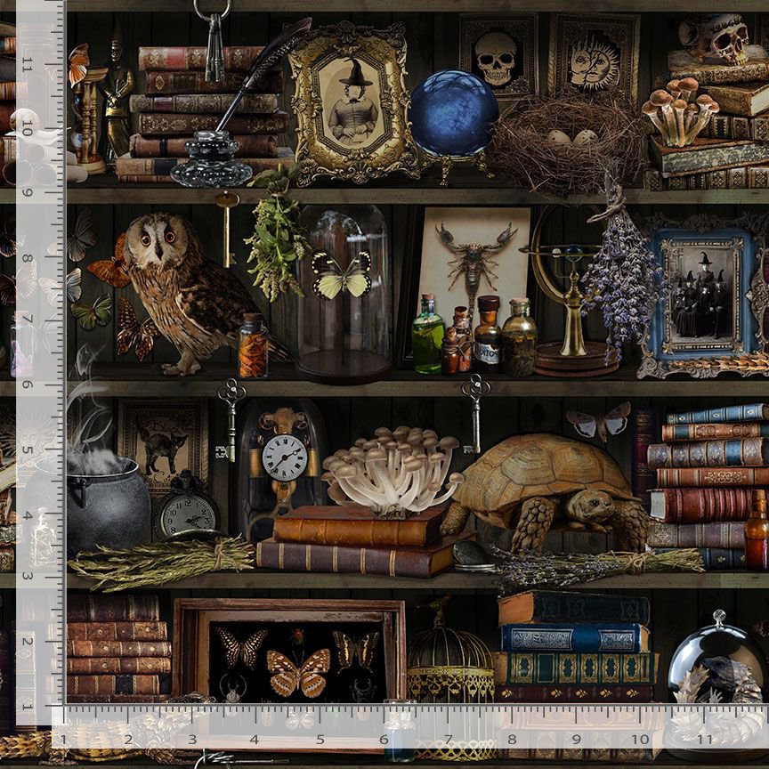 Mad Scientist Apothecary Witch Apothecary Book Shelf LIBRARY-CD2877-BROWN Cotton Woven Fabric