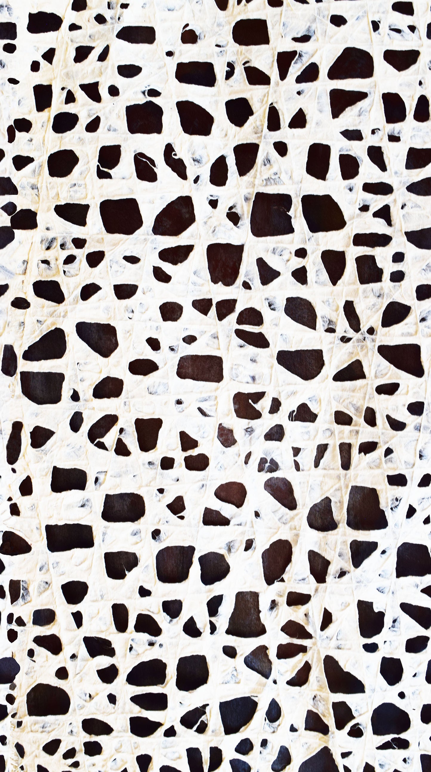 Amok by Stephanie Brandenburg of Frond Design Studios Faces White 40174-10 Cotton Woven Fabric