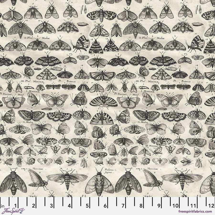 Tim Holtz Eclectic Element Palette Moths Charcoal PWTH315.CHARCOAL Cotton Woven Fabric