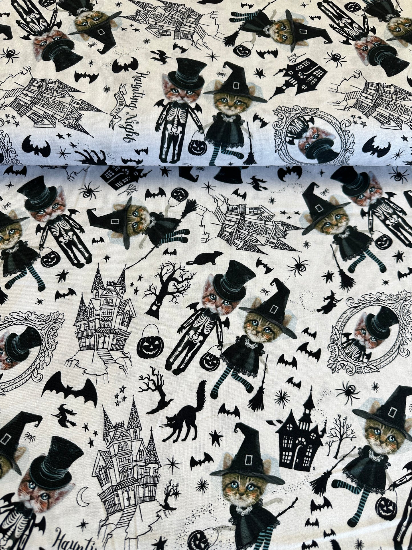 Pick Your Poison Costumed Kittens Grey BOO-CD3429-GREY Cotton Woven Fabric
