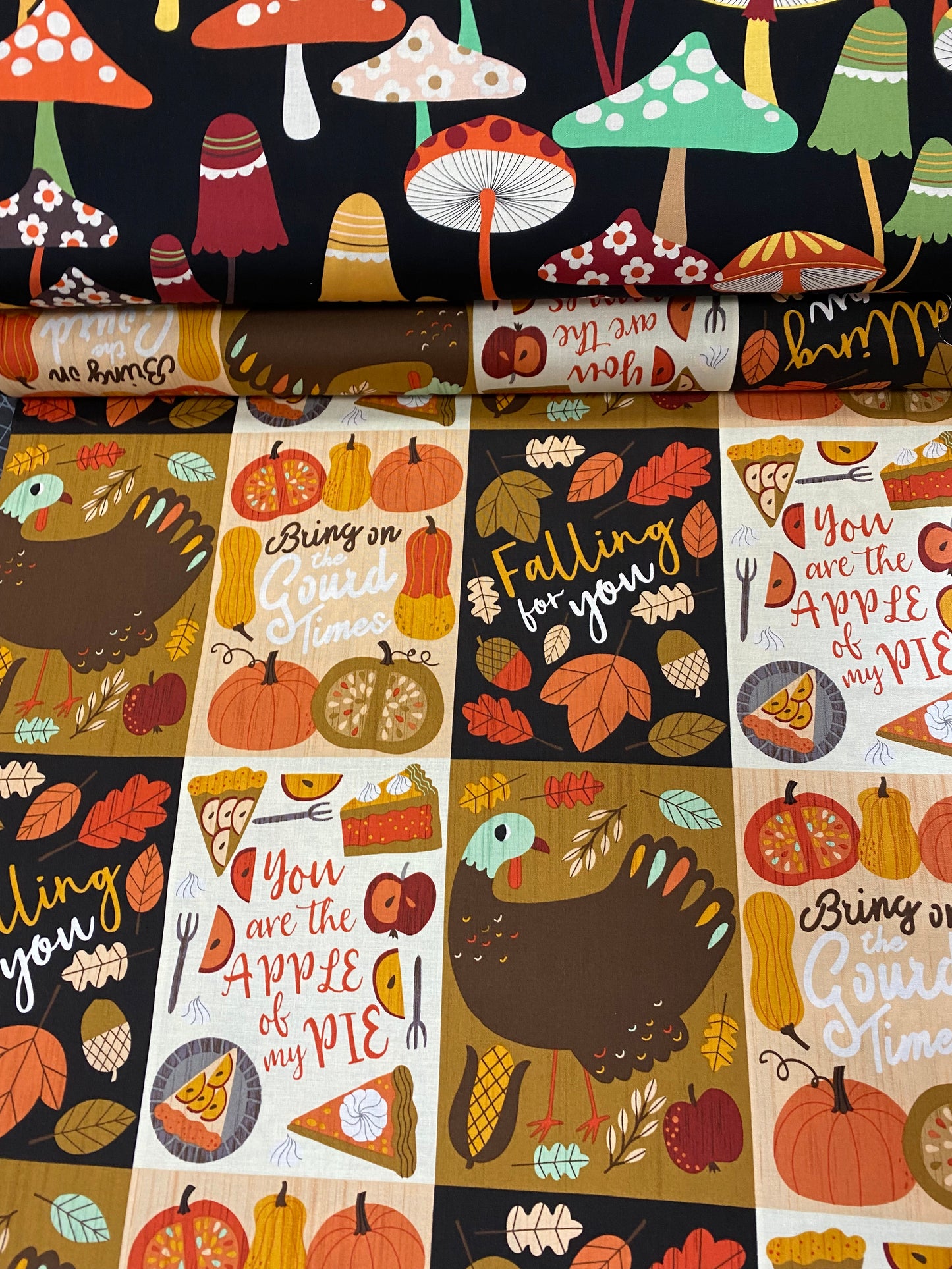 Fall Harvest Bring on the Gourd Times Blocks 8975A Sold by the 29.5" Panel Cotton Woven Panel