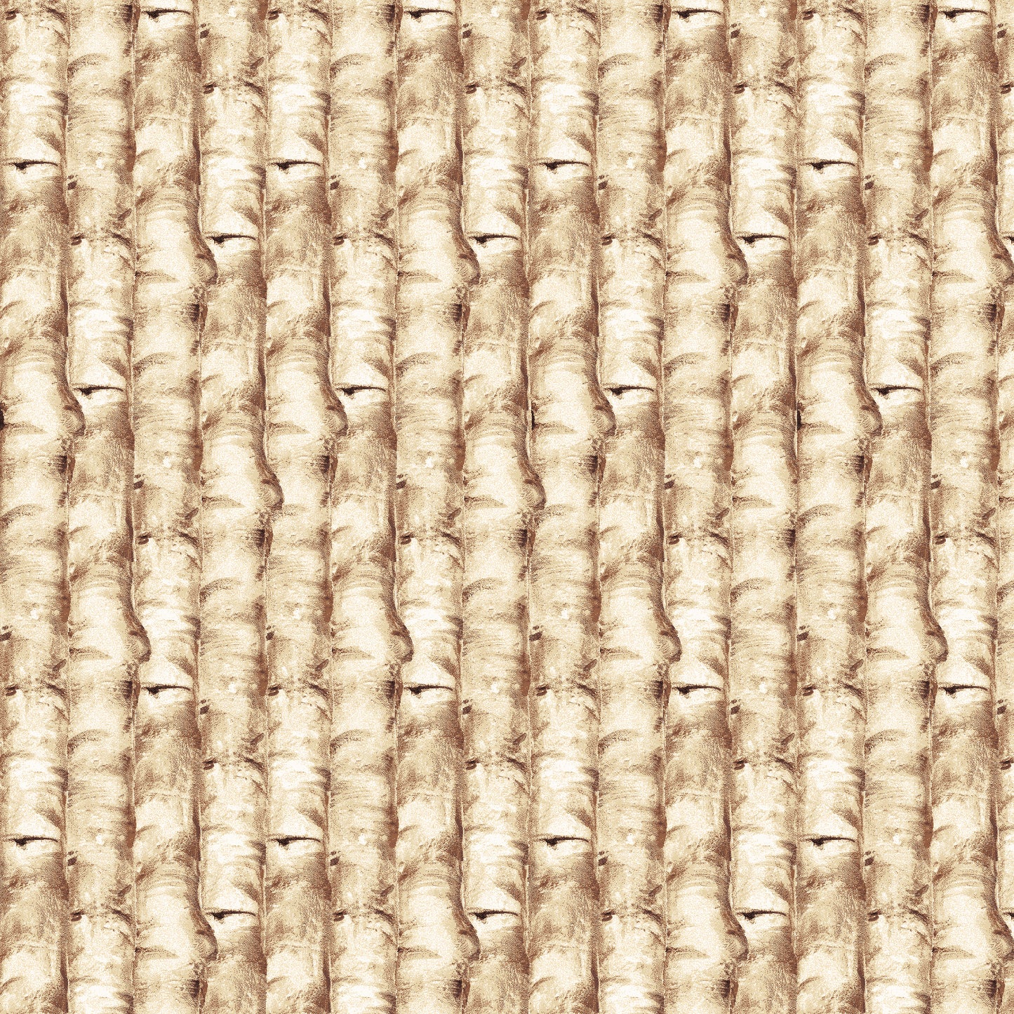 Auburn Fox by Kayomi Harai Bark Texture Tan    6222-39 Cotton Woven Fabric