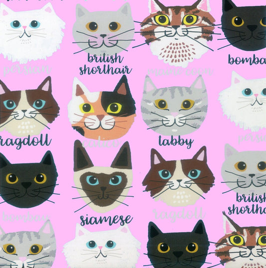 Calico and Company 8699B Pink Cotton Woven Fabric