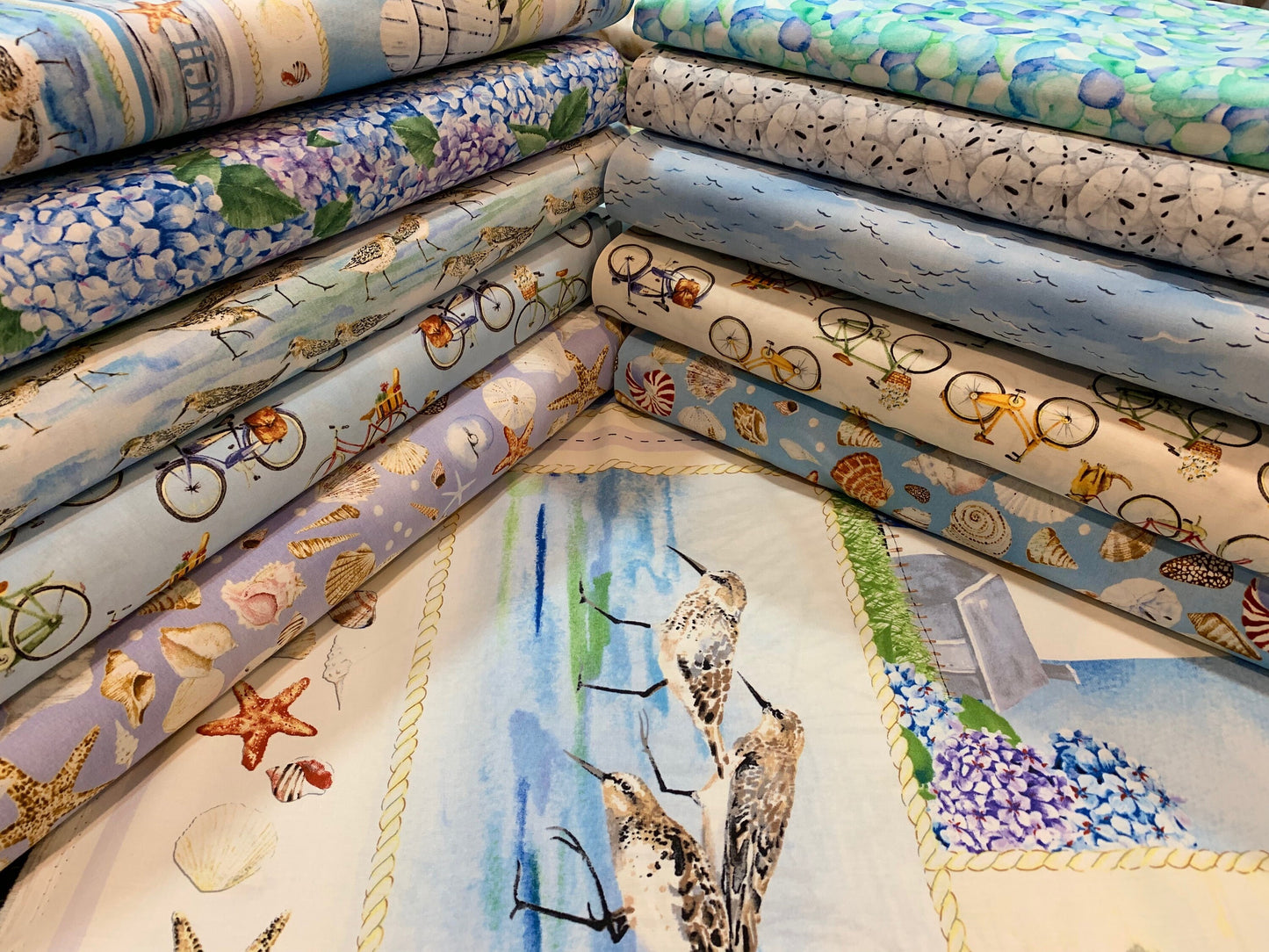 Coastal Paradise by Barb Gelotte Tourtillotte Sand Dollars 1499-90 Cotton Woven Fabric