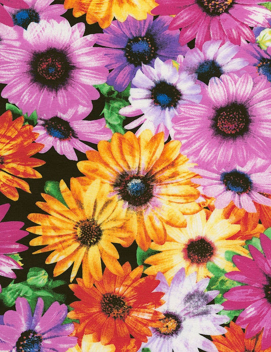 Electric Flowers Knit WKnit CS7382 Multi Cotton Spandex Knit