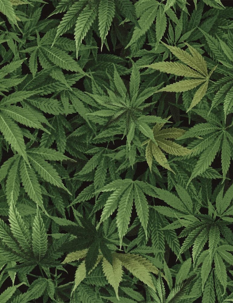 Cannabis Leaf Nature-C3819 Green Cotton Woven Fabric