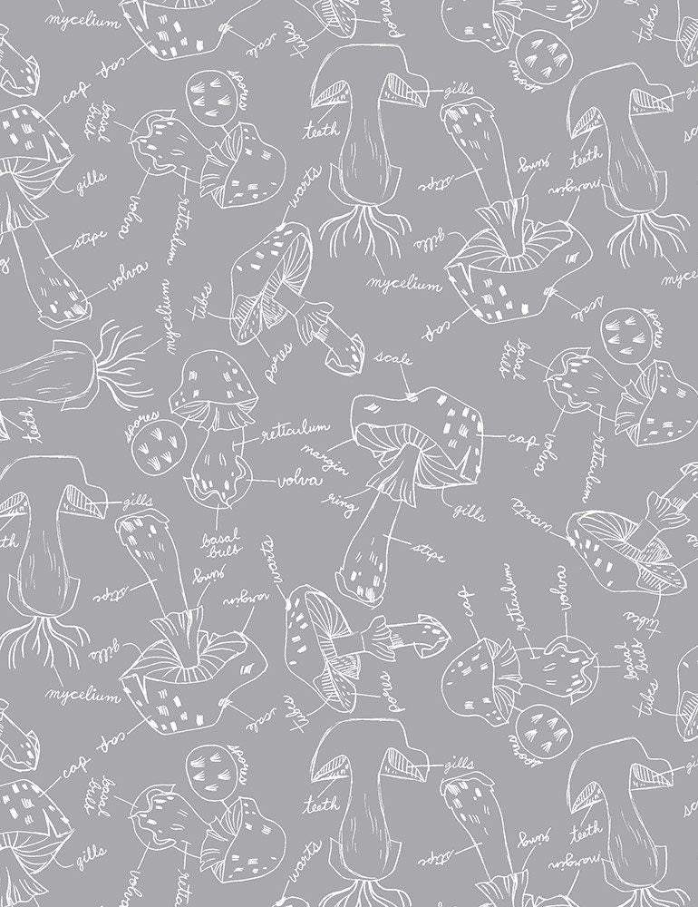 Mushroom City by Rae Ritchie Mushroom Anatomy Quarry STELLA-DRR1928-QUARRY Cotton Woven Fabric