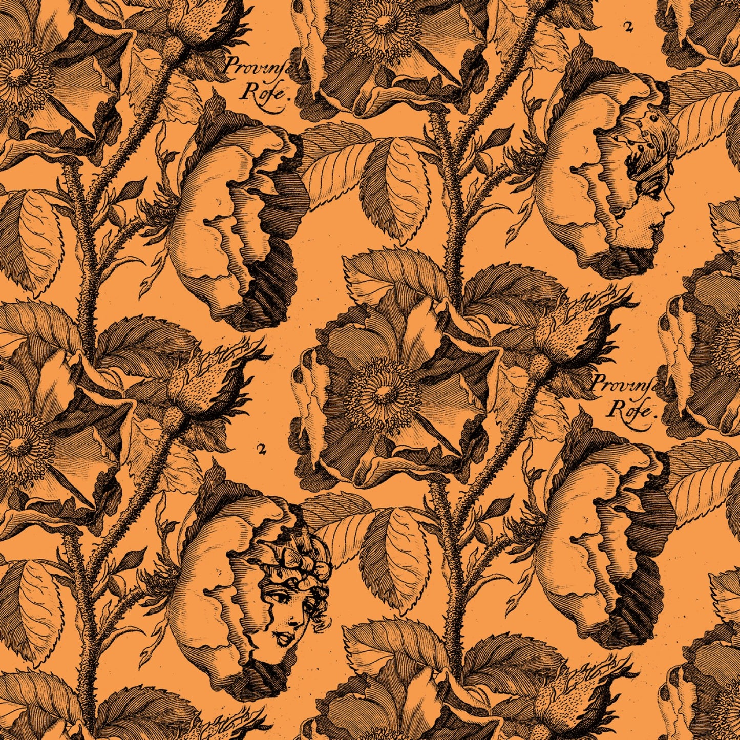 Mad Masquerade by J. Wecker Frisch Living Garden Orange CD11955R-ORANGE Cotton Woven Fabric