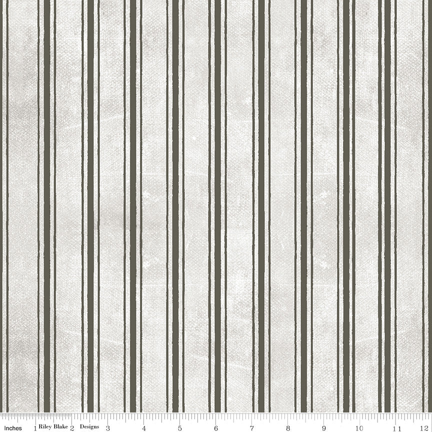 Pumpkin Patch by J. Wecker Frisch Terrifying Ticking Gray    C14578-GRAY Cotton Woven Fabric
