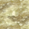 Preorder Jan 2027: The Land Called Honah Lee Moss Cloudy Sky Moss 2717-62 by Hollis Kitchin