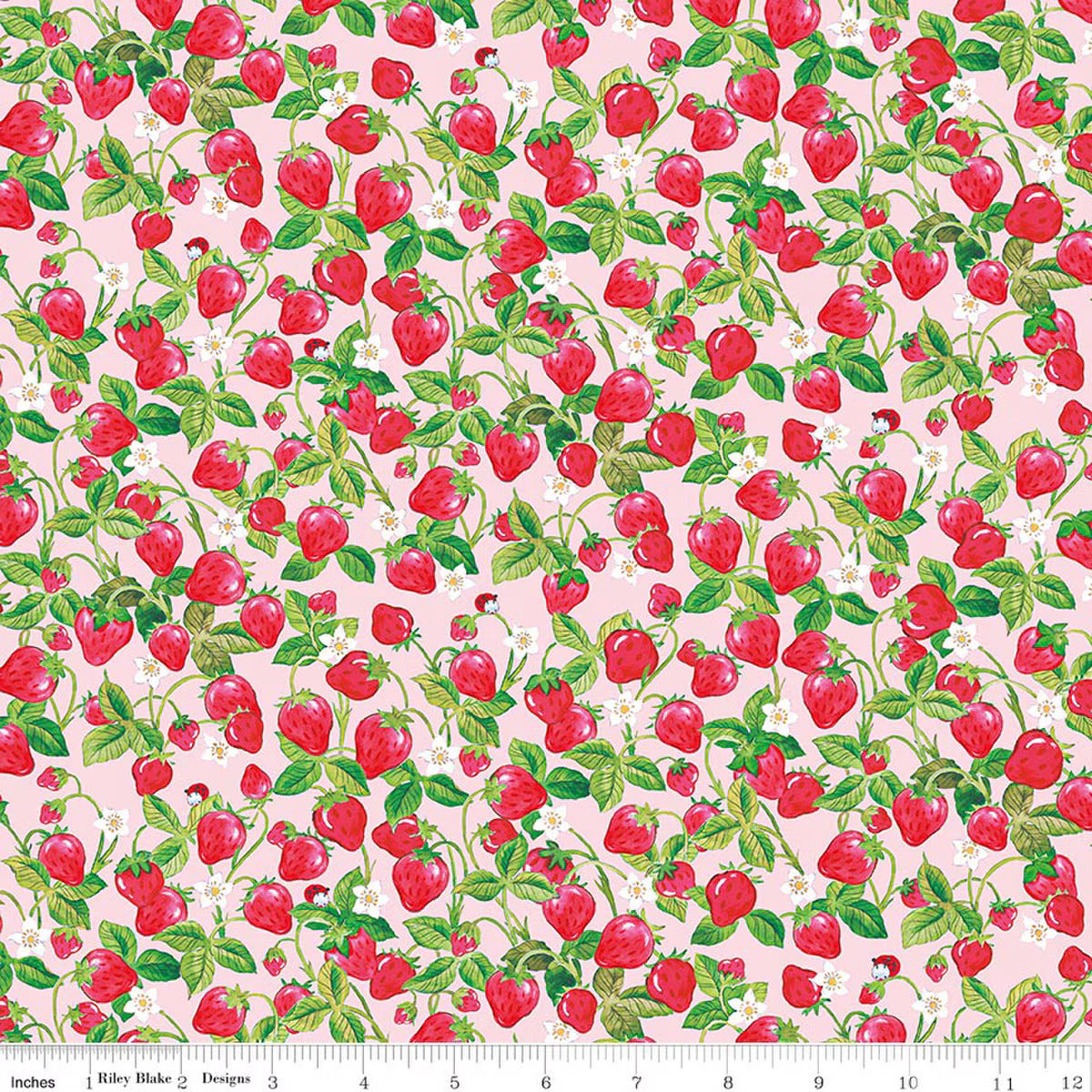 Preorder November 2026: The World of Strawberry Shortcake Strawberries Pink C18564-PINK