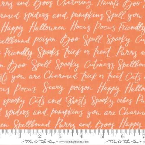 Preorder May 2026: Purrs and Boos Pumpkin 39062 14 by Elena Amo