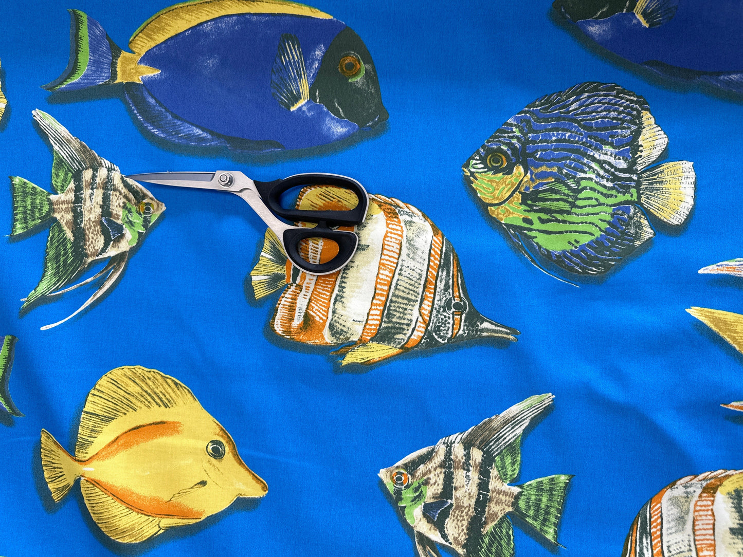 Tropical Fish on Blue Cotton Fabric