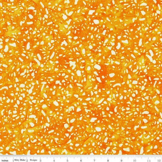 Expressions Batiks Elementals Terrazzo Sunshine BT21800-255