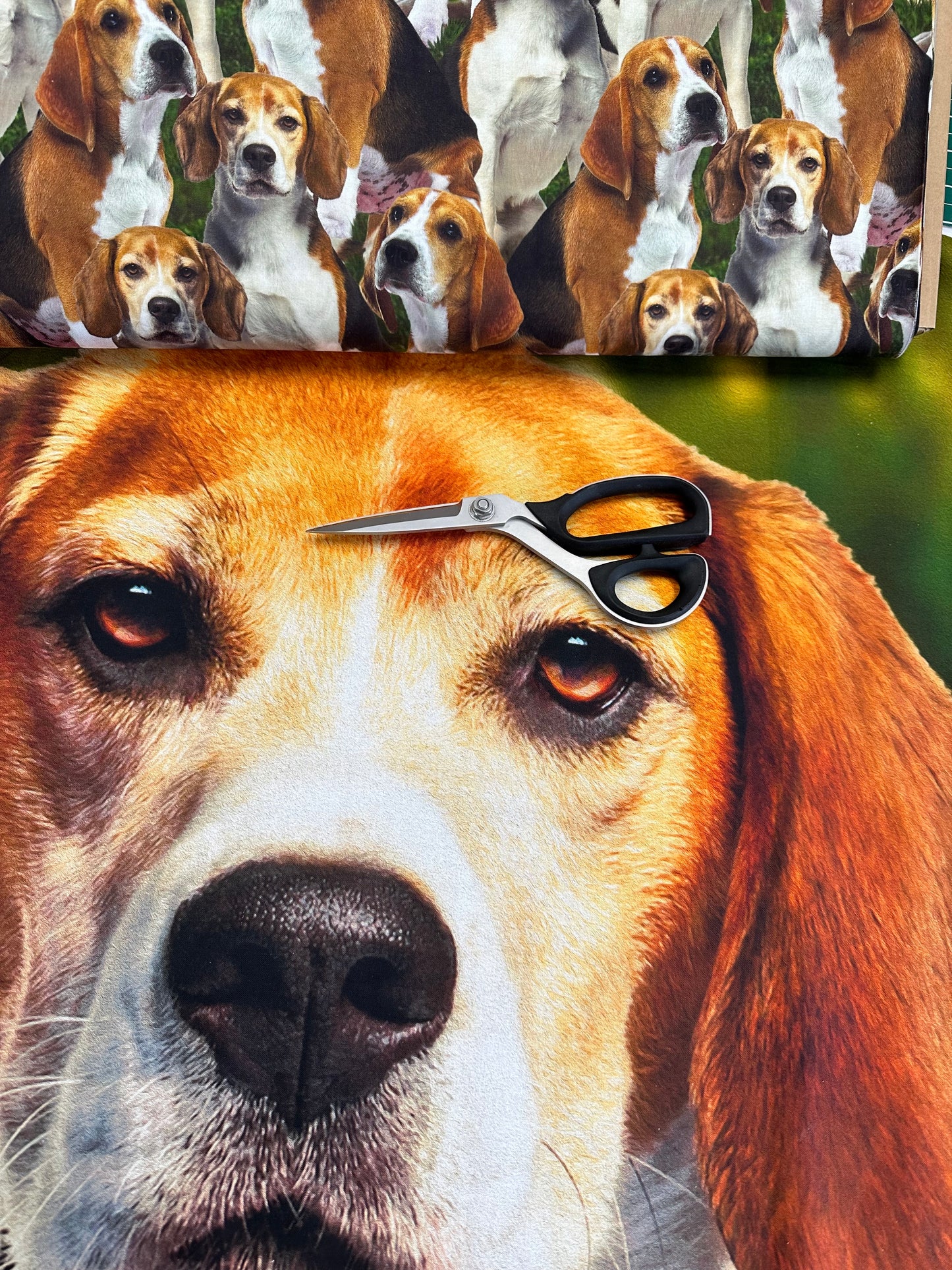 Doggies! 35.5" Panel Beagle Forest Digitally Printed   DX42603C1  Cotton Woven Panel