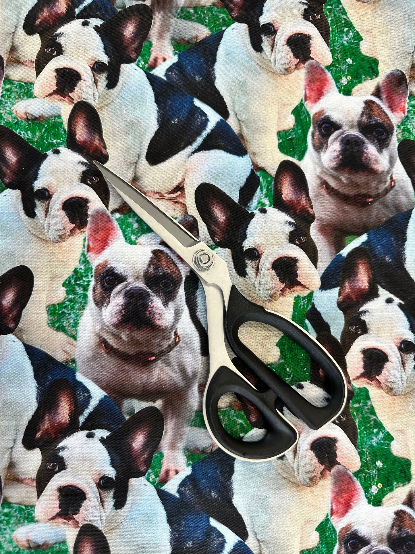 Doggies! Frenchie Grass Digitally Printed   DX42673C1 Cotton Woven Fabric