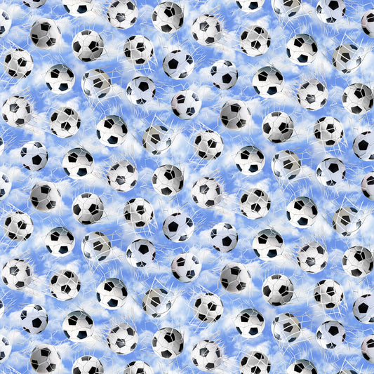 Soccer Balls in Nets Blue Sport-CD3836