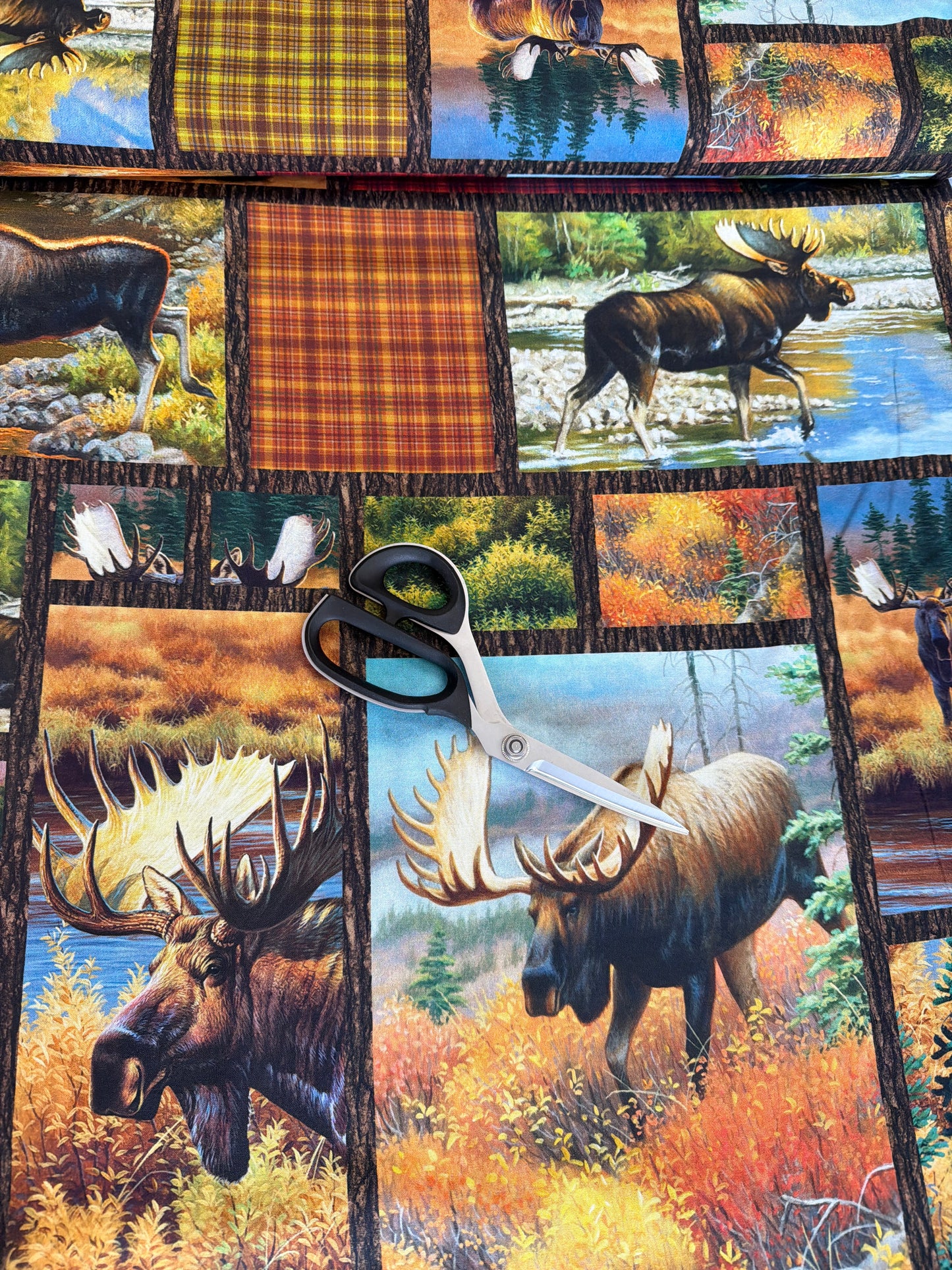 Magnificent Moose by Cynthie Fisher Moose Patches    29242X Cotton Woven Fabric