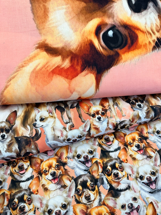 New Arrivals:  Doggies! 35.5” Panel Chihuahuas Peach  DX-4830-3C-1   Cotton Woven Panel