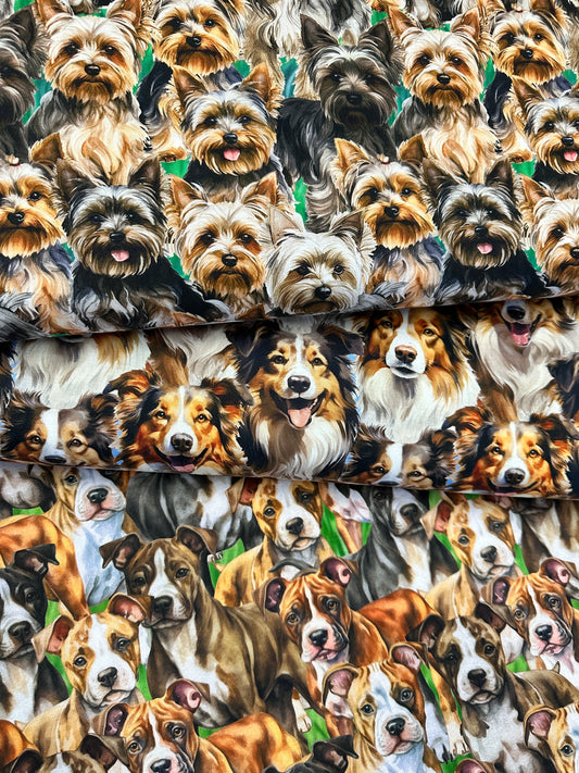 Doggies! Yorkies Multi packed    DX-4814-3C-1 Cotton Woven Fabric