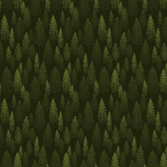 Preorder May 2027: Legends of the National Parks 2 Trees Black C19163-BLACK