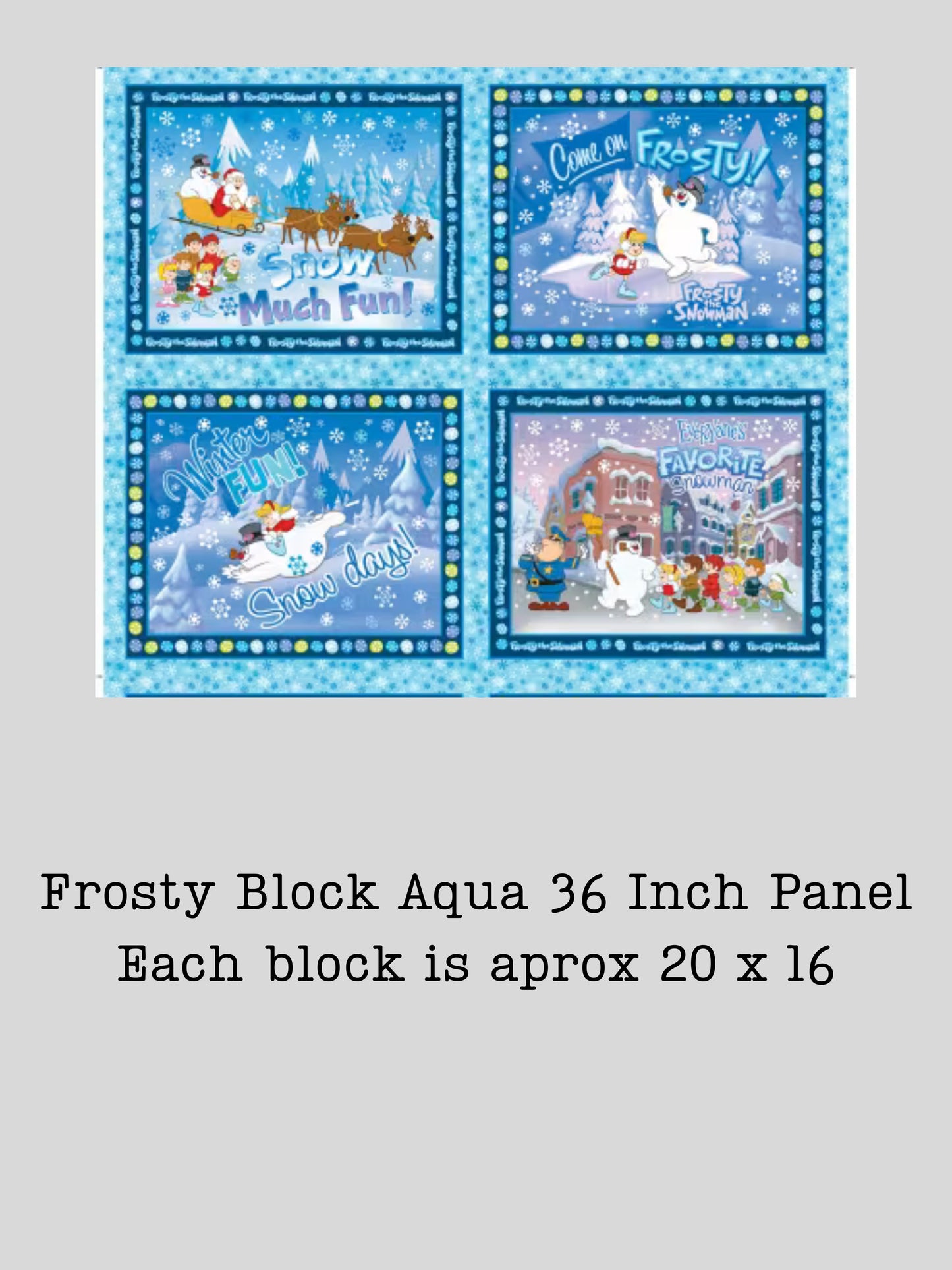 Preorder April 2027: Frosty the Snowman Frosty Block 36" Panel Aqua 15446-80