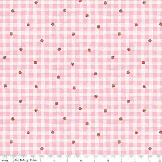 Preorder November 2026: The World of Strawberry Shortcake Gingham Pink C18562-PINK