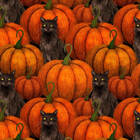 Preorder June 2026: Harvest Haunt Pumpkins and Black Cats Orange 4813-33 by Episodic Drawing
