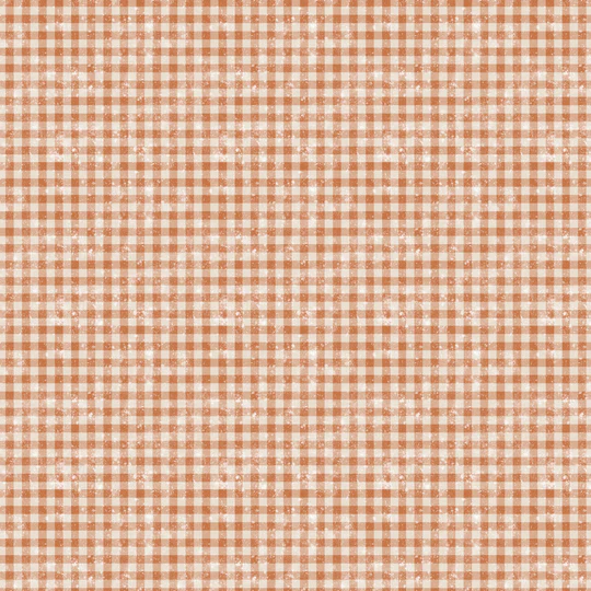 Preorder October 2026: Sagebrush Babies Light Rust Distressed Gingham 55250205-01 by Ramona Murdock