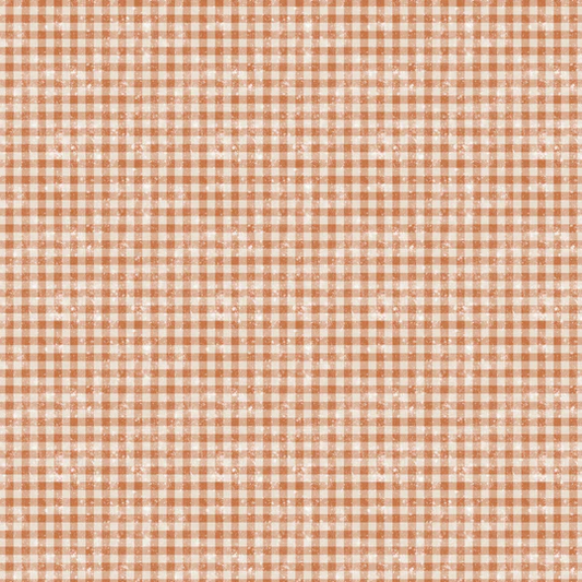 Preorder October 2026: Sagebrush Babies Light Rust Distressed Gingham 55250205-01 by Ramona Murdock