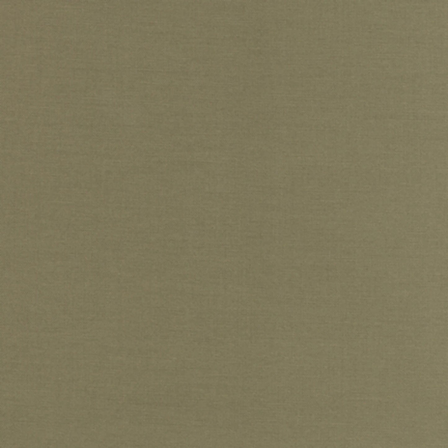 Kona Solid Bison K001-1017