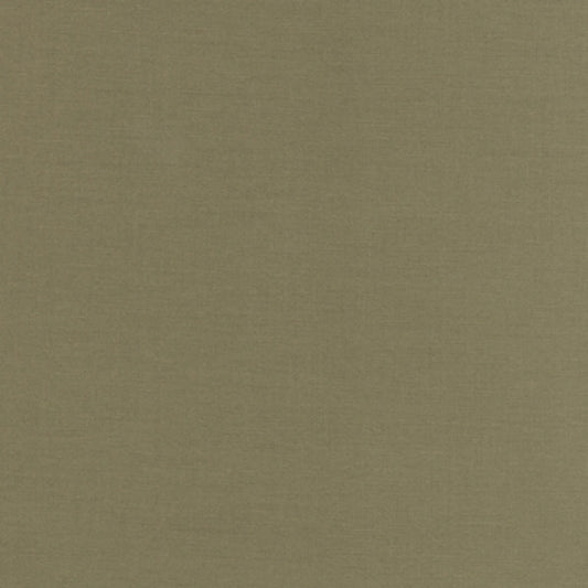 Kona Solid Bison K001-1017