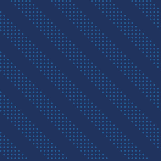 Preorder Feb 2027: Sidekicks Dots Stripe Navy RS5219 48 by RSS