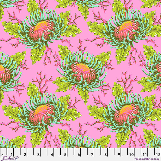 Preorder May 2026: Floral Reef Friends and Anemones Coralline PWTP265 by Tula Pink