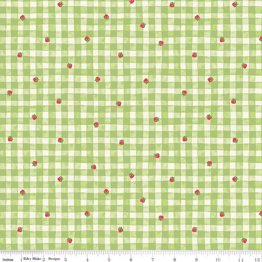 Preorder November 2026: The World of Strawberry Shortcake Gingham Green C18562-GREEN