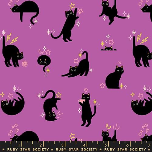 Preorder June 2026: Freaky Familiars Witchy RS5193 13 by RSS