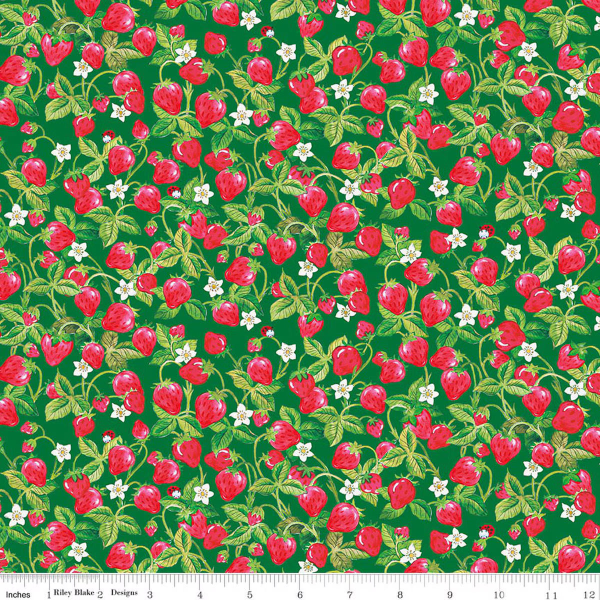 Preorder November 2026: The World of Strawberry Shortcake Strawberries Green C18564-GREEN