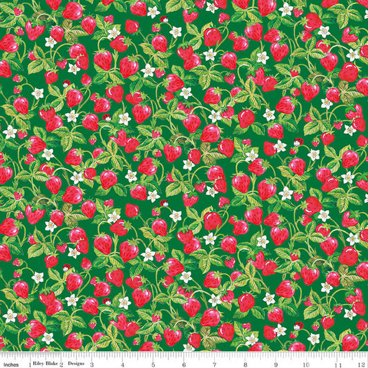 Preorder November 2026: The World of Strawberry Shortcake Strawberries Green C18564-GREEN