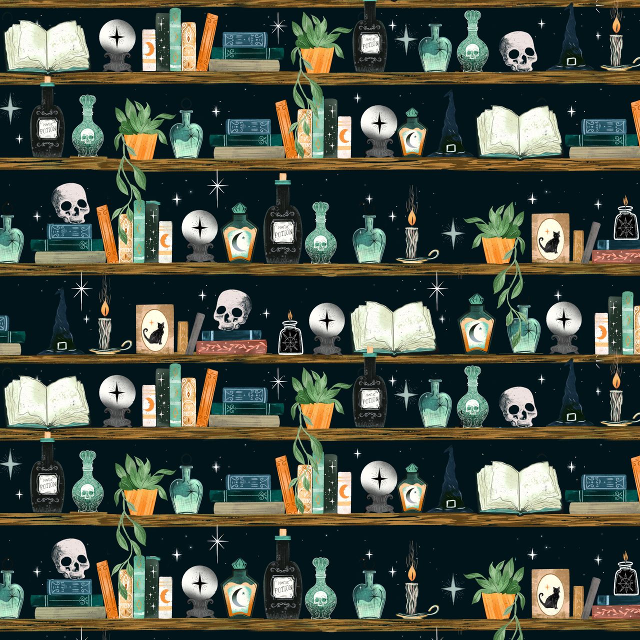 Preorder June 2026: Witchy Wicked Bookshelf with Potion Bottles & Crystal Balls Black 4861-99 by Rose Halsey