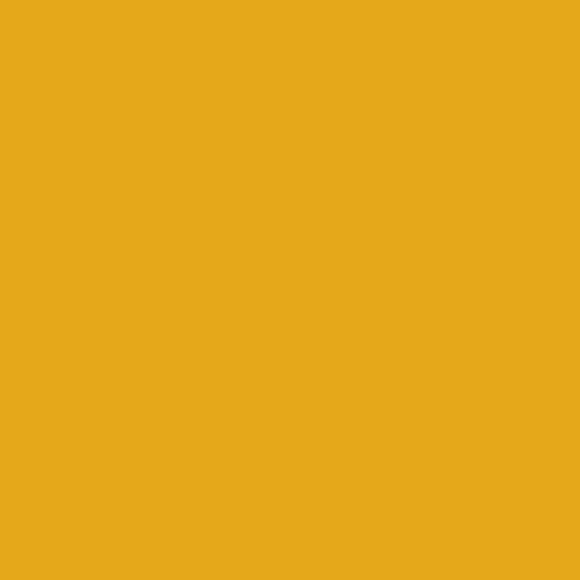 Preorder Nov 2026: RSS Solids Goldenrod RS5500 14