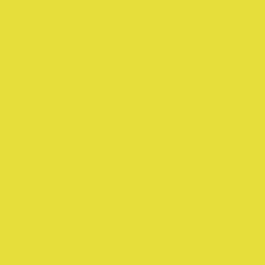 Preorder Nov 2026: RSS Solids Citron RS5500 16