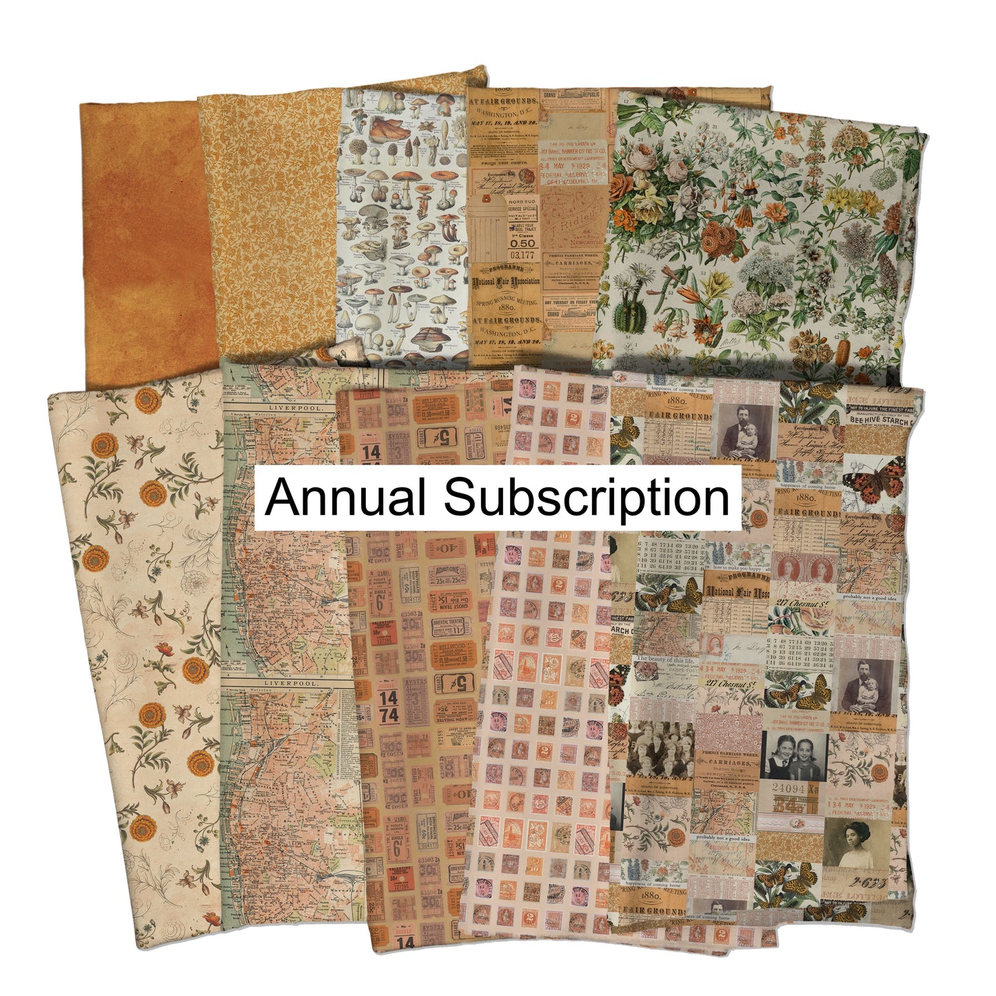 Month 3 Tim Holtz Eclectic Element Palette Subscription Program  Full Yard Bundle of 10 Prints Cotton Woven Fabric