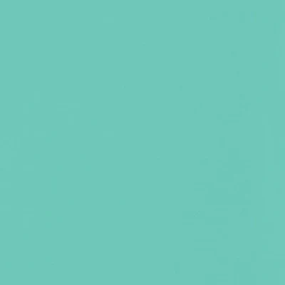 Designer Essential Solid Light Jade CSFSESS.LTJD by Free Spirit